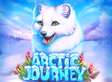 Arctic Journey