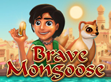 Brave Mongoose