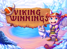 Viking Winnings