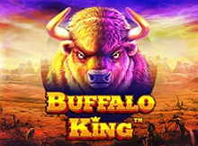 Buffalo King