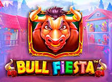 Bull Fiesta