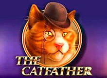 The Catfather