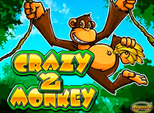 Crazy Monkey 2