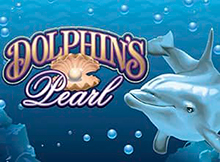 Dolphins pearl classic