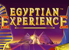 Egyptian Experience