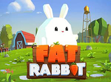 Fat Rabbit