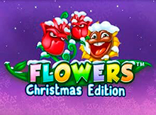 Flowers Christmas