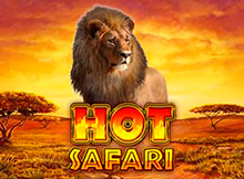 Hot Safari