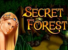 Secret Forest