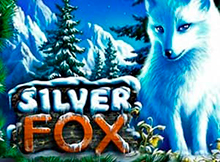 Silver Fox