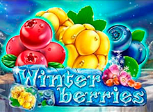 Winter Berries